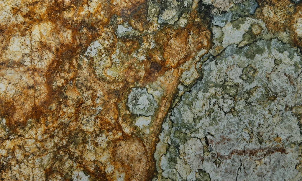 Close-up of an Atlas granite slab featuring dramatic gold, rust, green, cream, and gray natural mineral patterns for countertops in Knoxville, Tennessee.