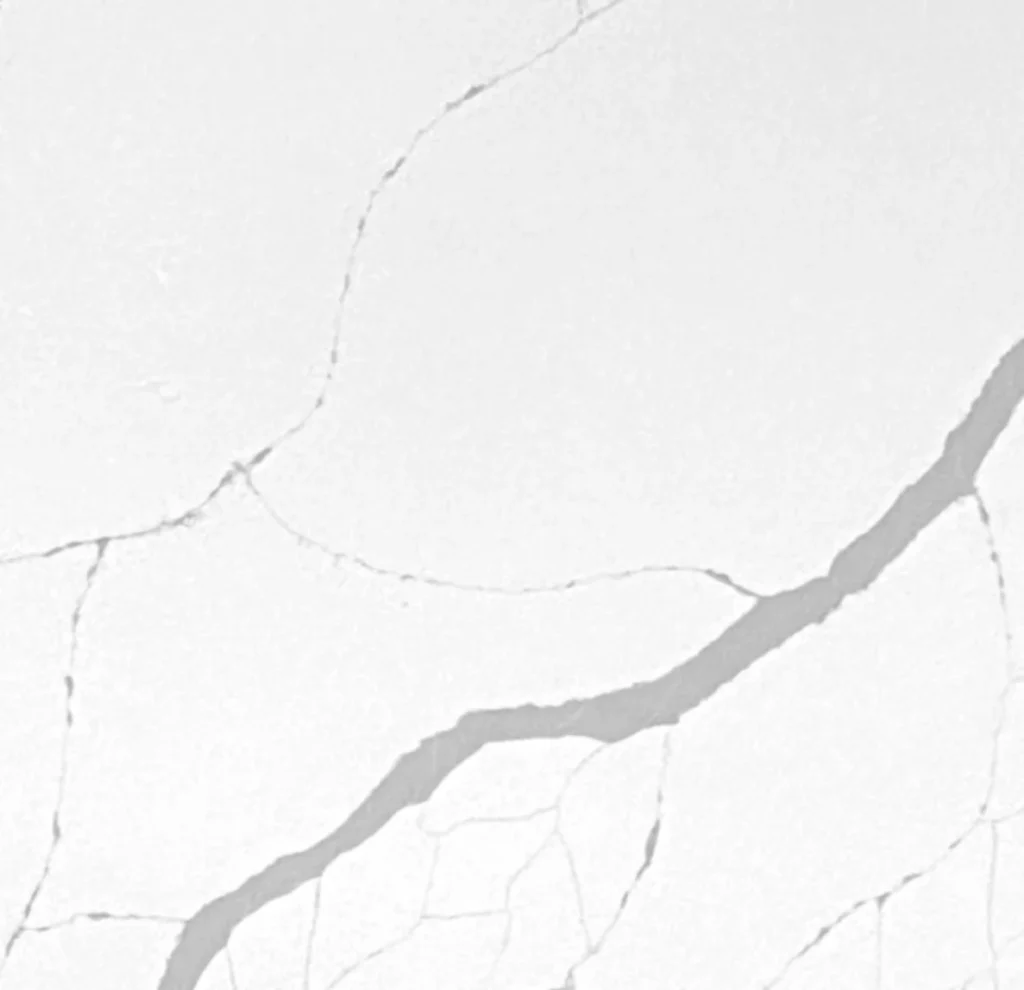 Close-up of a Calacatta Sponda quartz slab featuring a bright white background with bold gray veining available in Knoxville, Tennessee.
