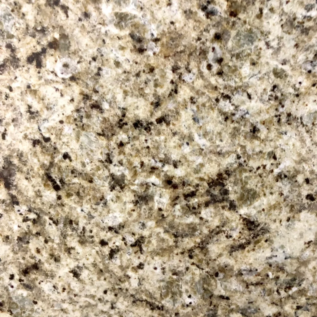 Close-up of a Giallo Ornamental granite slab with warm beige, cream, gray, and black mineral patterns available for countertops in Knoxville, Tennessee.